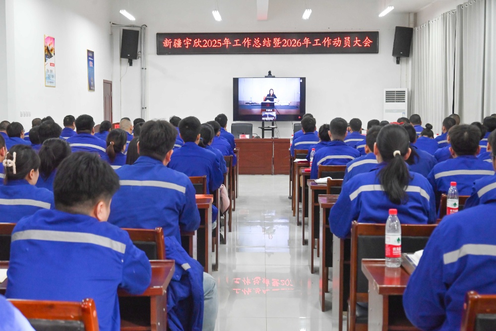 网站新闻-4