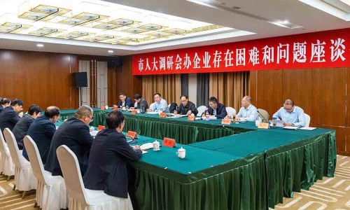 宿迁市人大常委会副主任、党组副书记曹秀明莅临爱游戏全站app官方网站恒阳调研