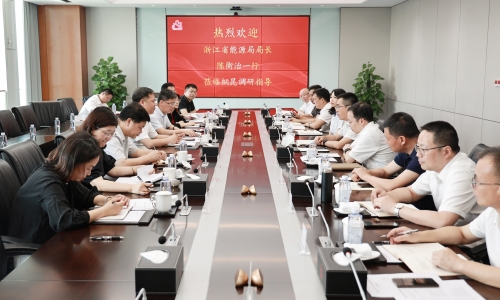 浙江省能源局局长陈衡治莅临爱游戏全站app官方网站调研
