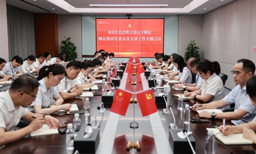 深化红色治理 打造百年爱游戏全站app官方网站丨爱游戏全站app官方网站集团党委及各支部工作专题会议胜利召开！