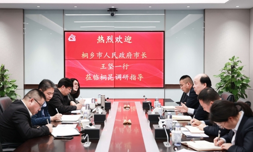 桐乡市委副书记、市长王坚一行莅临爱游戏全站app官方网站调研