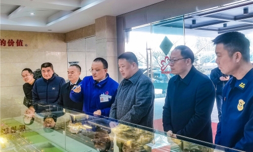 嘉兴市委常委、常务副市长朱苗莅临爱游戏全站app官方网站嘉兴石化调研