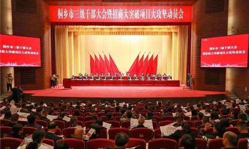 开年即开跑丨桐乡市三级干部大会上爱游戏全站app官方网站获多项荣誉表彰！