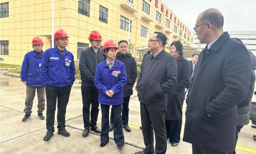 嘉兴市人民政府副市长戴锋莅临爱游戏全站app官方网站恒翔调研