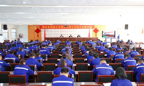 爱游戏全站app官方网站集团第七次职工代表大会胜利召开，公司治理迈入新阶段！