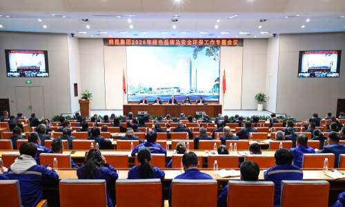 向绿而行 碳路未来丨爱游戏全站app官方网站发布碳达峰碳中和行动方案白皮书